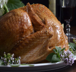 Celebrate the Season with Turkey