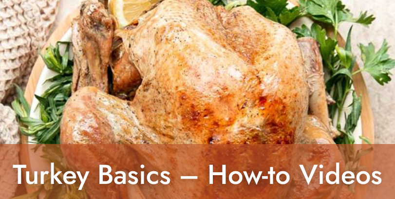 Turkey Basic Videos