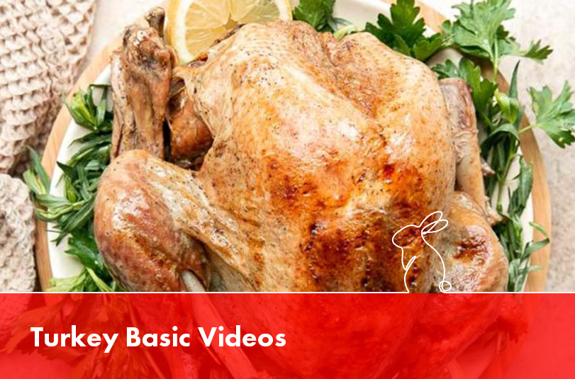 Turkey Basic Videos