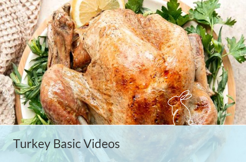 Turkey Basic Videos